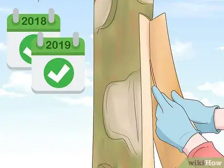 Image titled Grow Cinnamon Step 16