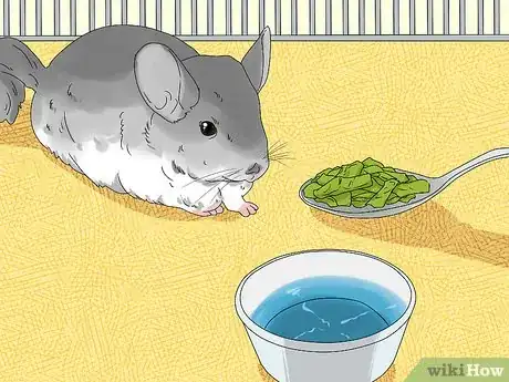 Image titled Feed a Chinchilla Step 5