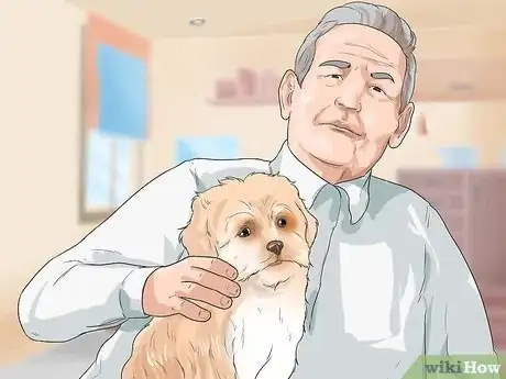 Image titled Care for Shihpoos Step 4