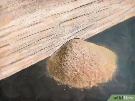 Image titled Get Rid of Carpenter Ants Step 2