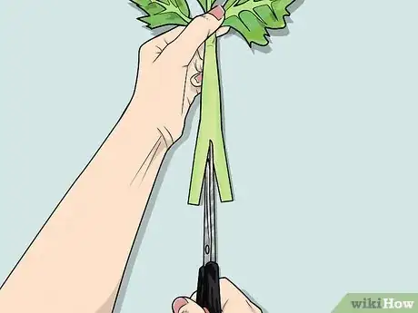 Image titled Change the Color of a Celery Stalk Step 9