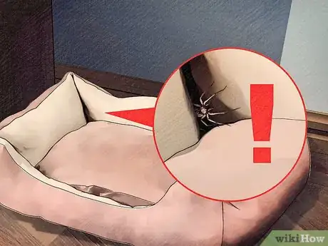 Image titled Protect Dogs from Poisonous Insects Step 16