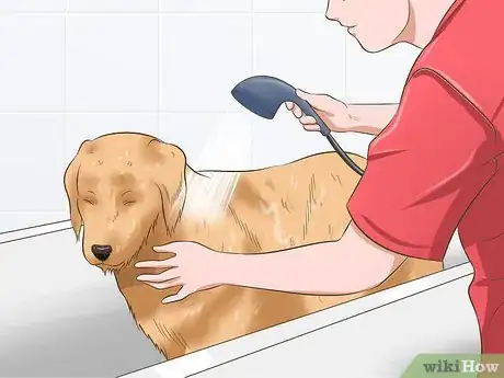 Image titled Take Care of Your Pet Step 9
