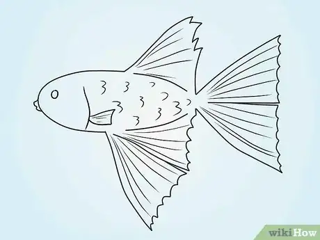 Image titled Draw a Betta Fish Step 9
