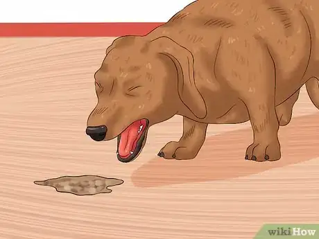 Image titled Cure Frequent Dog Vomiting Step 3