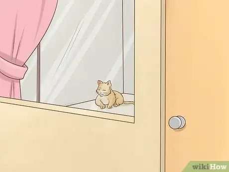 Image titled Diagnose and Treat Chlamydiosis in Cats Step 13