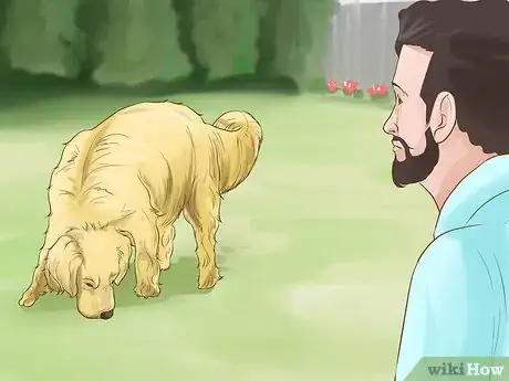 Image titled Protect an Easily Disoriented Older Dog Step 3