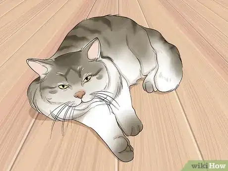 Image titled Choose a Hypoallergenic Cat Breed Step 5