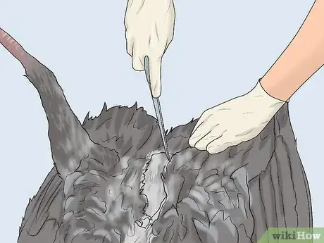 Image titled Dress a Turkey Step 4