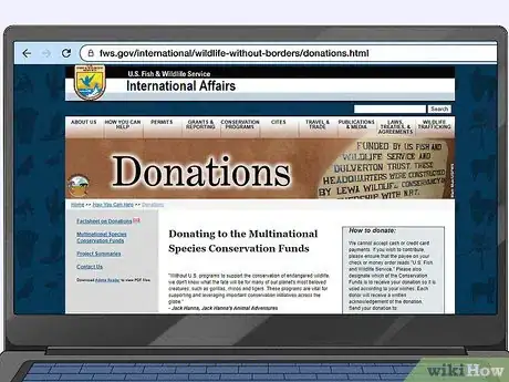 Image titled Help Save Orangutans Step 1