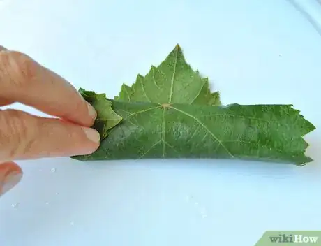 Image titled Make Vegetarian Stuffed Grape Leaves Step 8