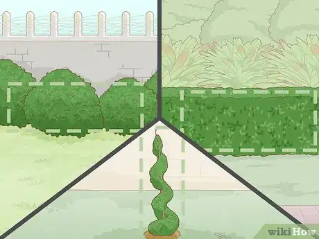 Image titled Grow Boxwood Shrubs Step 5