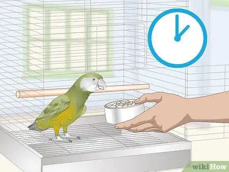Image titled Deal with a Fearful or Stressed Senegal Parrot Step 9