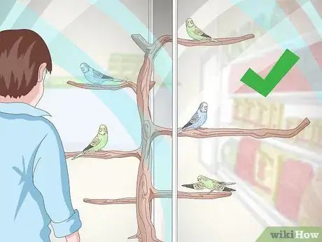 Image titled Own a Parakeet Step 1
