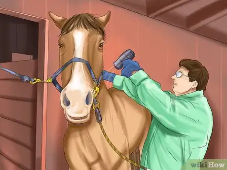 Image titled Care for Your Horse In the Winter Step 25