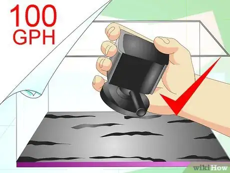 Image titled Make a Female Betta Community Step 8