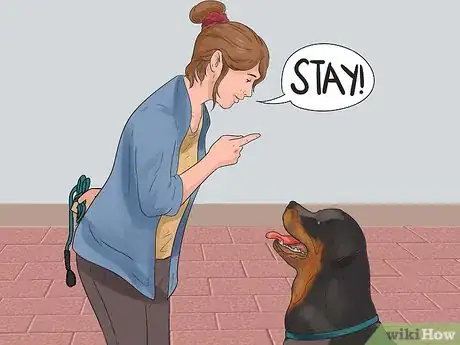 Image titled Teach Your Dog to Bolt from a Standing Start Step 9