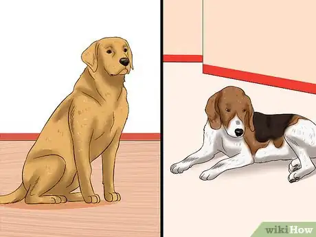 Image titled Treat Canine Infectious Hepatitis Step 11