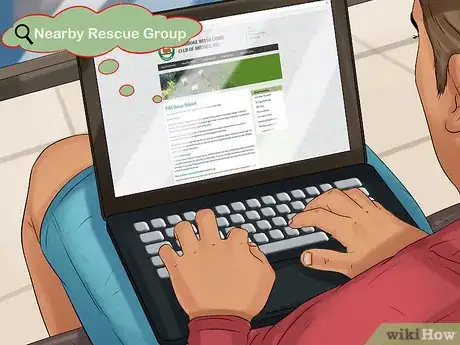 Image titled Rescue a Corgi Step 3