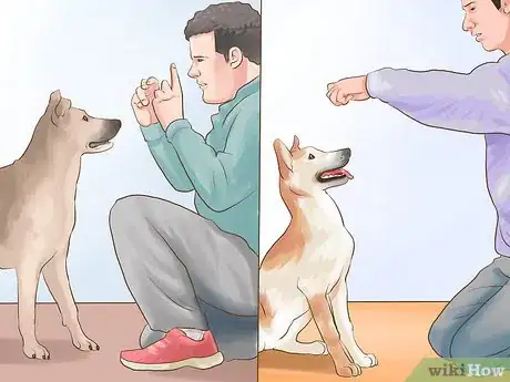 Image titled Adopt Multiple Dogs at One Time Step 14