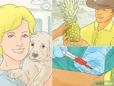 Image titled Study Toxicology Step 1