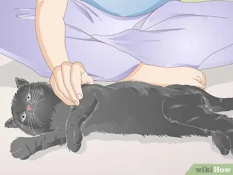 Image titled Use an Onion to Deodorize a Cat Litter Box Step 9