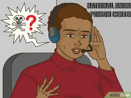 Image titled Stop a Ferret from Digging in Houseplants Step 9