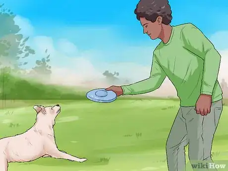 Image titled Control Shedding (Dogs) Step 3