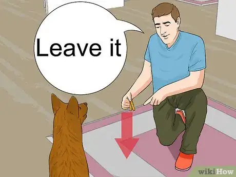 Image titled Keep a Dog from Sneaking Human Food Step 6