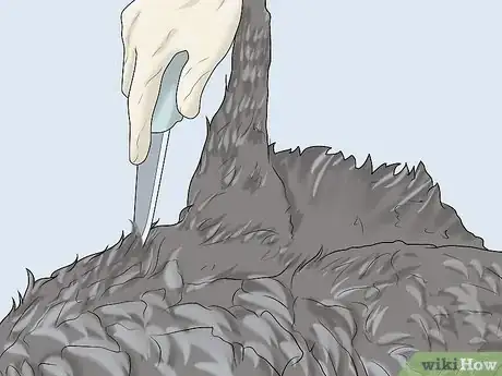 Image titled Dress a Turkey Step 3