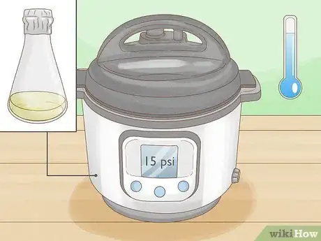 Image titled Grow Orchids from Seeds Step 8