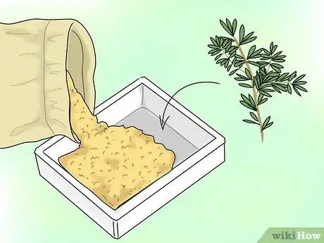 Image titled Propagate Grevilleas Step 3