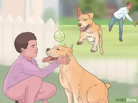 Image titled Identify and Correct Unwanted Dog Behaviors Step 15