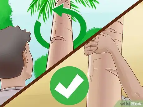 Image titled Climb a Tree With No Branches Step 10