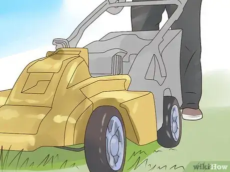 Image titled Control Wild Violets Step 9