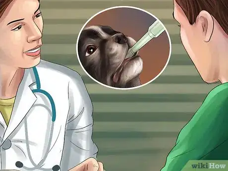 Image titled Get a Dog to Vomit Step 10