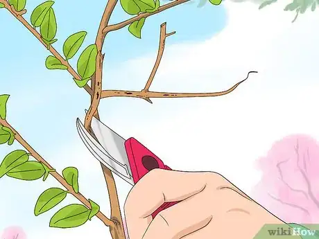 Image titled Prune Honeysuckle Step 2