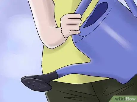 Image titled Help Carnations Make a Comeback Step 10