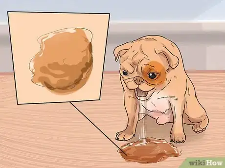 Image titled Prevent Canine Leptospirosis Step 8