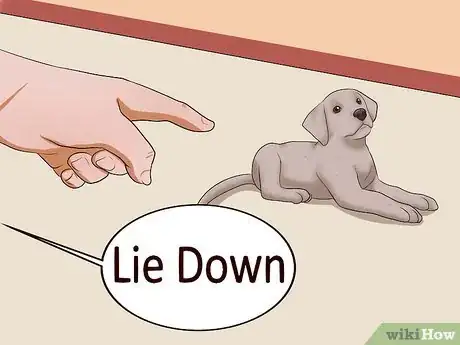 Image titled Teach Your Puppy to Lie Down Step 10