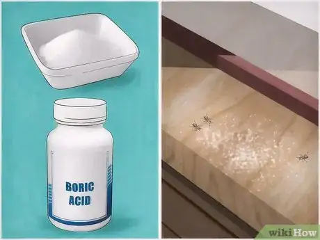 Image titled Get Rid of Carpenter Ants Step 8