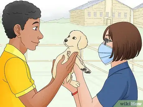 Image titled Avoid Puppy Scams Step 8