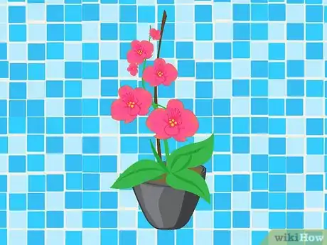 Image titled Make a Shower Caddy Garden Step 12