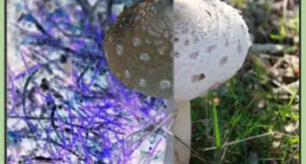 Invert Colors in Photoshop