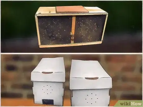 Image titled Buy Honey Bees Step 2