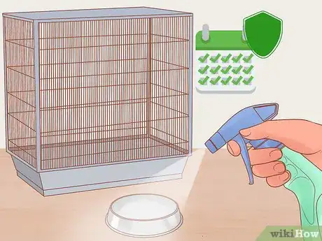 Image titled Know if Lories and Lorikeets Are Right for You Step 2