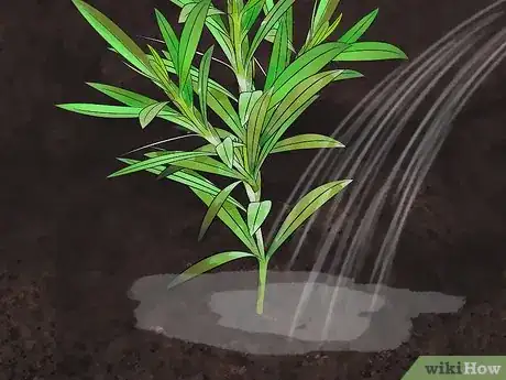 Image titled Grow Oleander Step 11