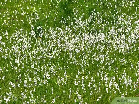 Image titled Become a Farmer at Fifty Step 3