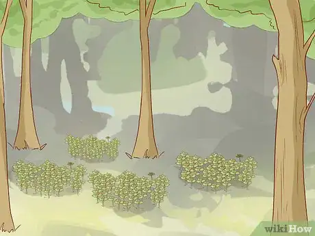 Image titled Harvest Chickweed Step 2