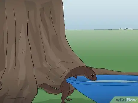 Image titled Attract Squirrels Step 4